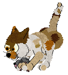 LHKC/Calluna's Sonoran Songbird — “Sonora”