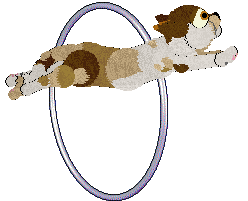 LHKC/Calluna's Sonoran Songbird — “Sonora”