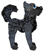 Xoops/CHR's Dreams Become Reality — “Nightwing”