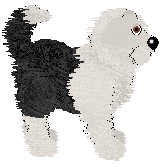 King's It's A Wonderful Life at Perfume — “Clarence”