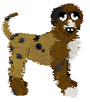 King's Boots With The Fur at Perfume — “Flares”