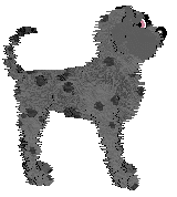 King's Mother Of Pearl at Ephemera — “Margo”