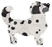 Charmme Sugar Loaf Mountain — “Sugarloaf”