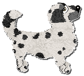 Profile image of Charmme Sugar Loaf Mountain