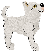 Ferality/Tangled's She's Bringing Victory — “Bernie”