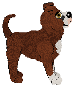 Profile image of Fig/Tangled's Pretty Figurehead