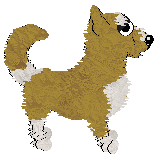 Dandy/Tangled's Batta Batta Swing — “Frisbee”