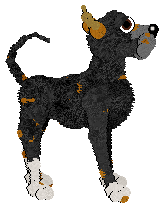 Profile image of MB/Tangled's Spooky Scary Skeletons