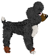 KellBell/Tangled's Way Down We Go — “Spiral”