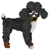 KellBell/Tangled's Way Down We Go — “Spiral”