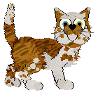 Profile image of Kin/Tangled's The Walls are Spinning