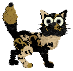 Disco!/Tangled's Are You Stardust — “Hester”