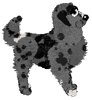 Perfume's Fast Track at Wild Road — “Leodern”