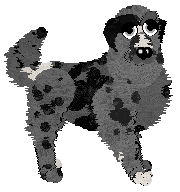 Profile image of Perfume's Fast Track at Wild Road