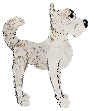 Perfume's La Di Da at Wild Road — “Melva”