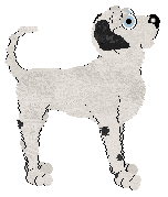 Poppyhill's Girt By Sea — “Holm”