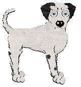 Profile image of Poppyhill's Girt By Sea