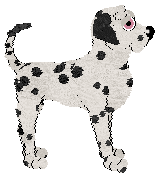 Poppyhill's Desert Jewel — “Sahara”