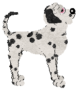 Poppyhill's Desert Jewel — “Sahara”