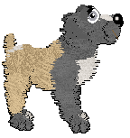 Profile image of Poppyhill's Wandering Child