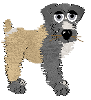 Poppyhill's Wandering Child — “Giry”