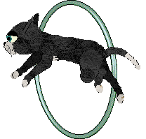 Calluna's Windswept Wildflower — “Aven”