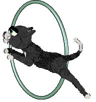 Calluna's Windswept Wildflower — “Aven”