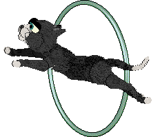 Calluna's Windswept Wildflower — “Aven”