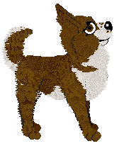 Pachelbel's Ballad of Songbirds at Wild Road — “Ballad”