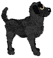 Amenity's Rhythm In Your Step — “Tap Shoes”