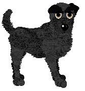 Profile image of Amenity's Rhythm In Your Step