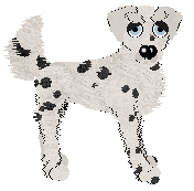 Amenity's Happy Little Accident — “Otto”