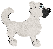 FLD/King's Out on the Common — “Plattsmouth”