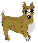 Profile image of EC/Mockingbird's Autumn Takes Flight