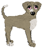 Tau'ri/Witz's Particle Collide — “Houla”