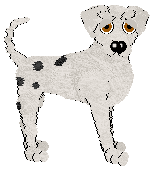 King/Witz's Living Like Renegades — “Appaloosa”