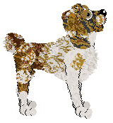 Ferality's Toffee Apple — “Toffee”