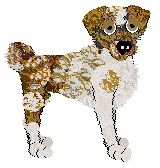 Ferality's Toffee Apple — “Toffee”