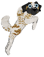 Ferality's Take The Money And Run — “Bandit”