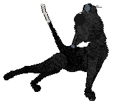 King/Whimsy's Tragic Grace — “Cordelia”