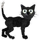 King/Whimsy's Tragic Grace — “Cordelia”