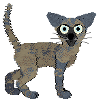 HK/FK’s Salt Pillar — “Medusa”