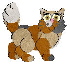 Kika/Whimsy's Caramel Custard — “Jackson”