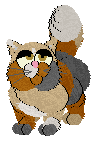Profile image of Kika/Whimsy's Caramel Custard