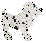 King's Count My Spots — “Robbie”