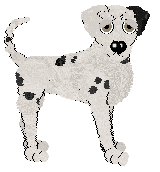 Profile image of Hoppipolla/King's Somewhat Dense