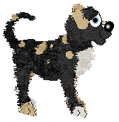 Perfume/King's Calgary Round-Up — “Old Steamboat”