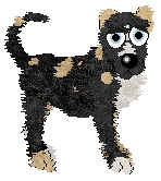 Perfume/King's Calgary Round-Up — “Old Steamboat”