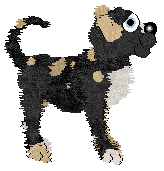 Profile image of Perfume/King's Calgary Round-Up