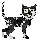 Profile image of Tea/King'a Destroy the Old Faith